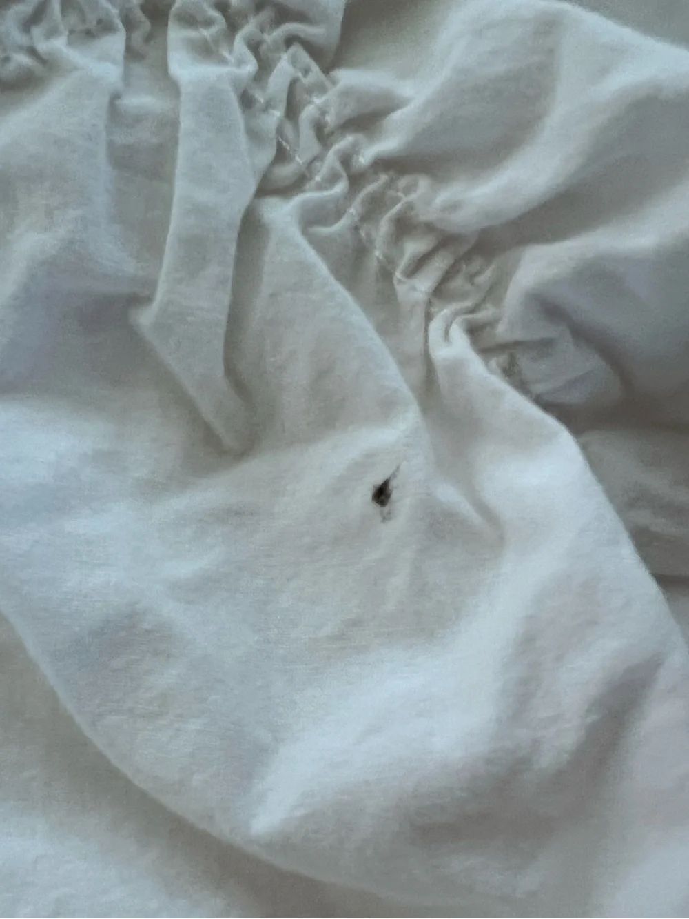 Organic Cotton Bedding duvet cover and sham by pottery barn teen. Twin XL
